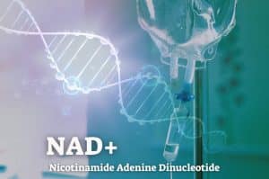 למה NAD+ חשוב